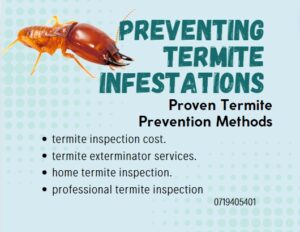 termite inspection specialists, termite prevention methods, termite inspection companies, termite extermination cost, natural termite deterrents, home remedies for termites, best termite prevention products, how to identify termite damage, termite inspection checklist, early signs of termite infestation, termite-proof building materials, termite barrier installation,