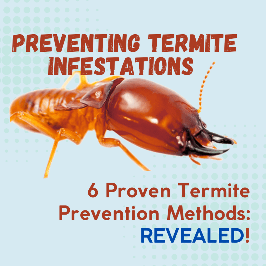 termite inspection and treatment, termite inspection experts, reliable termite inspection services, termite control companies, termite inspection specialists, termite damage inspection, termite prevention services