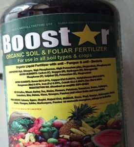 Booster Foliar Fertilizer, Booster Foliar fertilizer for maize, Booster Foliar Fertilizer in Kenya, Booster fertilizer for maize, Booster foliar fertilizer for beans, Super Booster Foliar Fertilizer, Booster Foliar Fertilizer price in Kenya, Best foliar fertilizer in kenya, Types of foliar fertilizers, Best time to spray foliar fertilizer, Booster Foliar Fertilizer Kenya, Best Foliar Fertilizer for Crops in Kenya, Foliar Fertilizer Application Techniques Kenya, Benefits of Booster Foliar Fertilizer, How to Use Foliar Fertilizer, Booster Foliar Fertilizer for Tomatoes, Price of Foliar Fertilizer in Kenya, Foliar Fertilizer for Maize, Organic Foliar Fertilizer in Kenya, Foliar Fertilizer Kenya, Foliar Fertilizer for Vegetables, Liquid Fertilizers for Kenyan Farmers, Effects of Foliar Fertilizer on Crop Yield, Foliar Feeding Schedule for Kenyan Crops, Comparative Analysis of Foliar Fertilizers, Foliar Fertilizer Suppliers in Kenya, How to Make Homemade Foliar Fertilizer, Foliar Fertilizer for Beans, Booster Nutrients in Foliar Fertilizer, Environmental Impact of Foliar Fertilizers