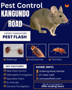 Pest Control Kangundo Road, pest control Kangundo Road, pest control services in Kangundo Road, pest control in Kangundo Road, pest control services Kangundo Road, Kangundo Road pest control services, fumigation services in Kangundo Road, fumigation services and pest control in Kangundo Road, pest extermination services in Kangundo Road, pest elimination services in Kangundo Road, Kangundo Road pest control services, Kangundo Road pest extermination services, bedbugs control services in Kangundo Road, cockroaches control services in Kangundo Road, bats control services in Kangundo Road, termites control services in Kangundo Road, pest control services near Kangundo Road, fumigation services near Kangundo Road, pest eradication services in Kangundo Road, pest control companies in Kangundo Road,ย Kangundo Road fumigation, pest control services company Kangundo Road, fumigation and pest control services in Kangundo Road, pest control and fumigation services in Kangundo Road, expert pest control company in Kangundo Road, pest control in Kangundo Road, fumigation in Kangundo Road, pest control service in Kangundo Road, fumigation service in Kangundo Road, pest control in Kangundo Road, professional fumigation services in Kangundo Road, pest services in Kangundo Road, pest exterminator in Kangundo Road, top best pest control services company in Kangundo Road, pest control management in Kangundo Road, Pest control services in Kangundo Road, fumigation in Kangundo Road, pest control in Kangundo Road, Kangundo Road fumigation services, Kangundo Road Expert Fumigation, Kangundo Road Pest Control Services, fumigation pest control in Kangundo Road, fumigation services pest control in Kangundo Road, Kangundo Road pest control services, Kangundo Road fumigation services, pest control in Kangundo Road, Kangundo Road pest control services, Kangundo Road pest extermination services, bedbugs control services in Kangundo Road, cockroaches control services in Kangundo Road, bats control services in Kangundo Road, termites control services in Kangundo Road, pest control services Kangundo Road, Kangundo Road fumigation and pest control services company, fumigation and pest control services in Kangundo Road, Kangundo Road fumigation services in Kangundo Road, fumigation service Kangundo Road, pest control services near Kangundo Road, fumigation services near Kangundo Road, Kangundo Road fumigation service, fumigation company in Kangundo Road, Fumigation services in Kangundo Road, pest control services in Kangundo Road, pest control services in Kangundo Road, Fumigators in Kangundo Road, pest control services near Kangundo Road, pest control in Kangundo Road, fumigation services and pest control in Kangundo Road, fumigation services near Kangundo Road, Kangundo Road fumigation services, Kangundo Road pest control services, Kangundo Road pest extermination services, bedbugs control services in Kangundo Road, cockroaches control services in Kangundo Road, bats control services in Kangundo Road, termites control services in Kangundo Road, pest control services Kangundo Road, pest control services company Kangundo Road, eliminating pests in Kangundo Road, fumigation and pest control services in Kangundo Road, Kangundo Road pest control services, Kangundo Road fumigation and pest control company in Kangundo Road, professional exterminator near Kangundo Road, Kangundo Road fumigation services, fumigation service Kangundo Road, Kangundo Road fumigation services, fumigation company in Kangundo Road, pest control companies in Kangundo Road, pest elimination services in Kangundo Road, pest extermination services in Kangundo Road, fumigation in Kangundo Road, pest eradication services in Kangundo Road, pest control service providers in Kangundo Road, fumigation service providers in Kangundo Road, pest control and fumigation services in Kangundo Road, fumigation and pest control services in Kangundo Road, pest control in Kangundo Road, Pest extermination services in Kangundo Road, Kangundo Road pest control services, general pest control in Kangundo Road, pest control in Kangundo Road, Kangundo Road pest control services, pests extermination services in Kangundo Road, fumigation services in Kangundo Road, pest extermination in Kangundo Road, pest elimination services in Kangundo Road, pest eradication services in Kangundo Road, pest control companies in Kangundo Road, fumigation and pest control services in Kangundo Road, pest control and fumigation services in Kangundo Road, expert pest control company in Kangundo Road, pest control in Kangundo Road, fumigation in Kangundo Road, pest control service in Kangundo Road, fumigation service in Kangundo Road, pest control in Kangundo Road, professional fumigation services in Kangundo Road, pest services in Kangundo Road, pest exterminator in Kangundo Road, top best pest control services company in Kangundo Road, pest control management in Kangundo Road, Pest control in Kangundo Road, fumigation prices in Kangundo Road, Kangundo Road pest control services, pest control services prices in Kangundo Road, fumigation services prices in Kangundo Road, cost of fumigation services in Kangundo Road, pest extermination prices in Kangundo Road, fumigation services cost in Kangundo Road, pest control pricelist in Kangundo Road, how much is pest control services in Kangundo Road? how much is fumigation services cost in Kangundo Road?, pest extermination prices in Kangundo Road, bedbugs control services prices in Kangundo Road, cockroaches control services prices in Kangundo Road, pest control along kangundo road, pest control Ruai Kamulu Joska Malaa Koma Nguluni Tala Kangundo, pest control services in Ruai Kamulu Joska Malaa Koma Nguluni Tala Kangundo, pest control in Ruai Kamulu Joska Malaa Koma Nguluni Tala Kangundo,
