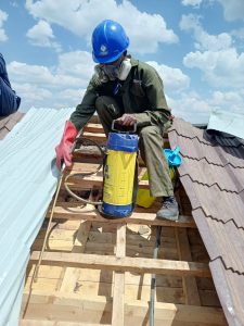 PEST FLASH Technician doing bee removal on roof