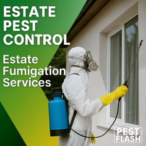 estate pest control, estate fumigation services, estate pest control nairobi, estate property pest control, commercial pest control estate, residential pest control estate, estate pest management, building pest control, fumigation services for estates, pest extermination estate, pest treatment estate, estate pest inspection, pest removal estate, estate pest control nairobi, estate fumigation services nairobi, pest control for estates nairobi, estate pest management kenya, estate pest extermination nairobi, estate fumigation kenya, pest control in estate compounds nairobi, estate pest control services kenya, commercial estate pest control nairobi, residential estate pest control kenya, estate pest inspection nairobi, estate pest treatment services kenya, fumigation for estate properties nairobi, estate pest control companies nairobi,