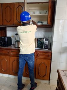 Applying cockroach gels, how to apply cockroach gel bait