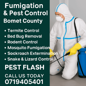 fumigation and pest control bomet county, fumigation services in bomet, pest control in bomet