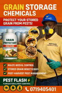 Maize storage chemicals, Grain treatment chemicals, Post-harvest chemicals, Grain preservation chemicals, Maize weevil control, Stored grain pest control,